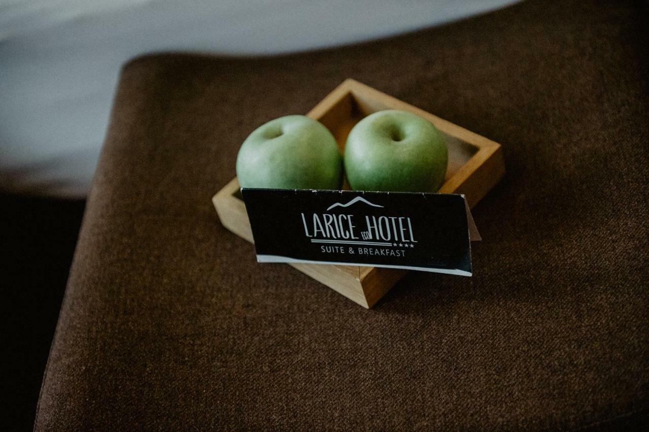 Hotel Larice ليفينو المظهر الخارجي الصورة